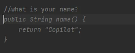 Imagem de perguntando nome do copilot